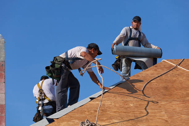 Gutter Installation and Roofing in Milledgeville, GA